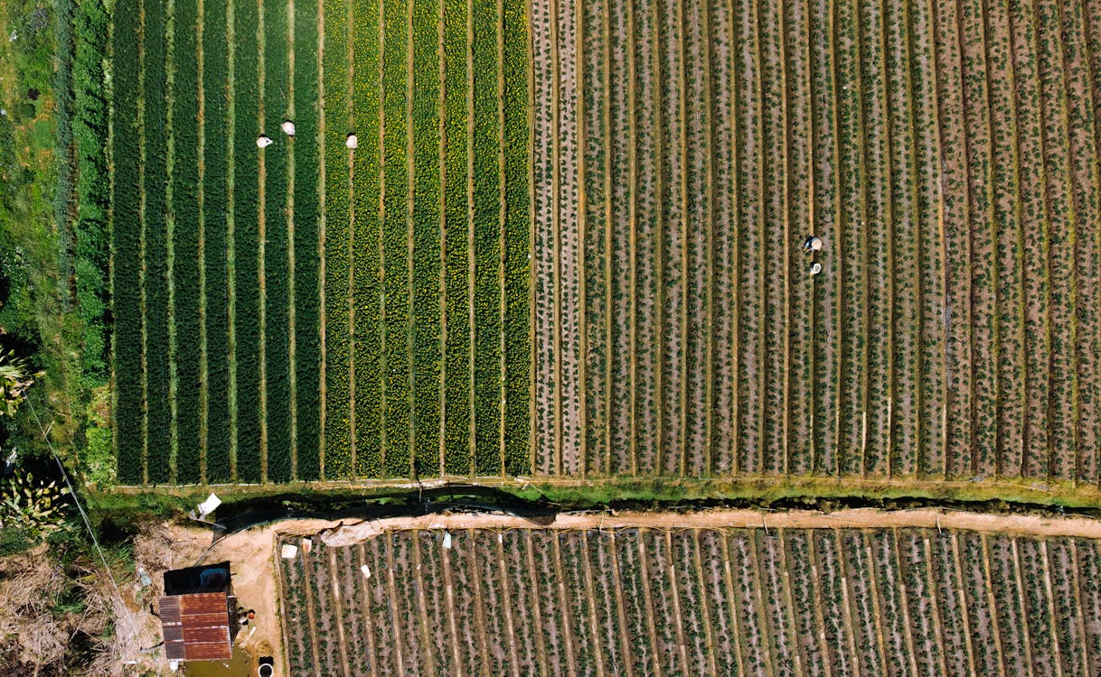 Aerial view of vibrant farmlands in patterns, showing the type of large-area terrain ideal for fixed-wing drone mapping