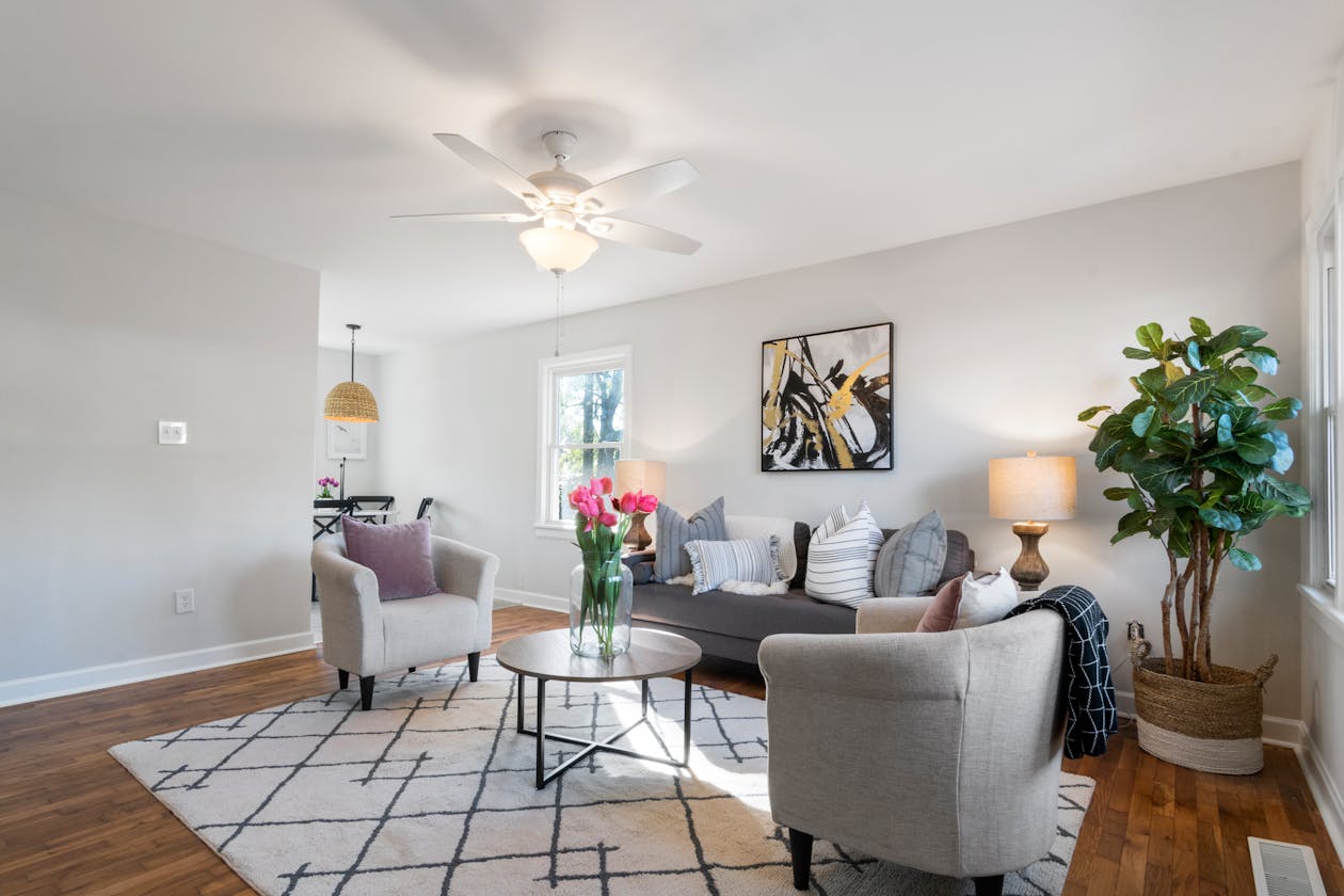 Well-staged living room with neutral furniture, plants, and natural light — ready for a virtual tour scan